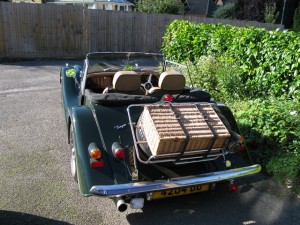 IMG_5505_weblarge